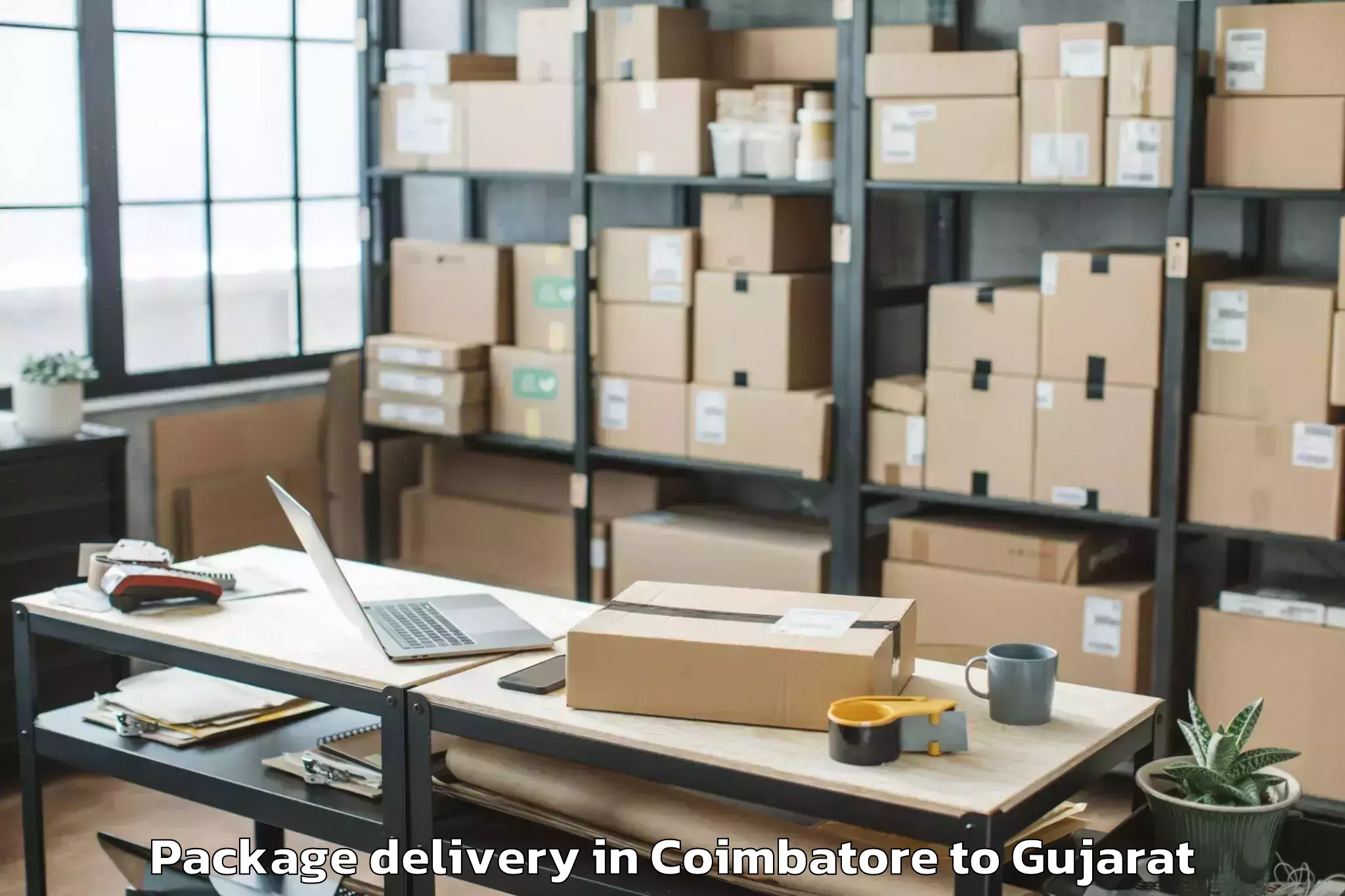 Hassle-Free Coimbatore to Gussar Package Delivery